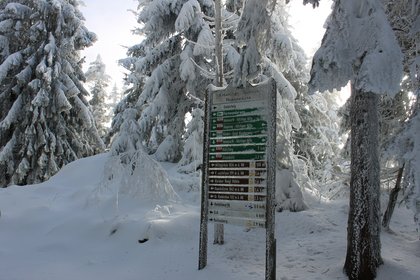 Wanderhinweistafel im Winterwald