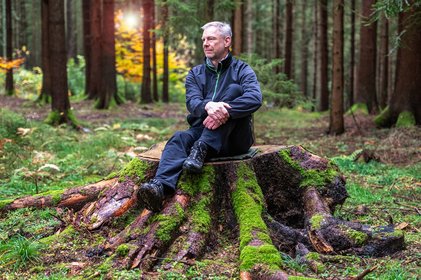 Ruhe nach dem Waldbaden