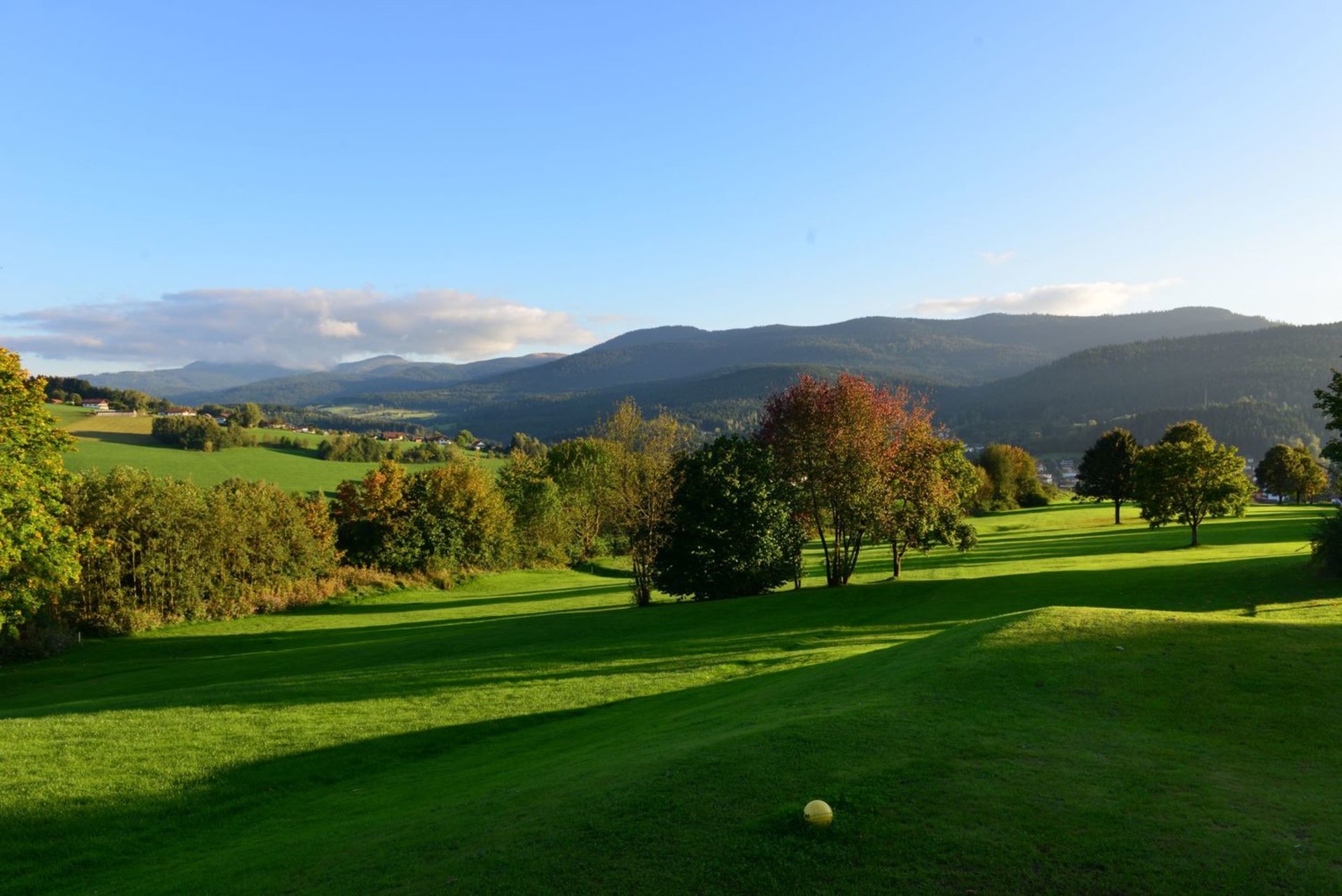 Golfen