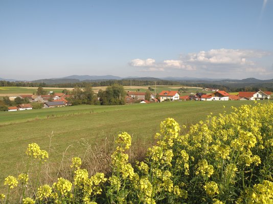 Wolfersdorf, Ortsteil der Gemeinde Zandt - mit Blumen im Vordergrund