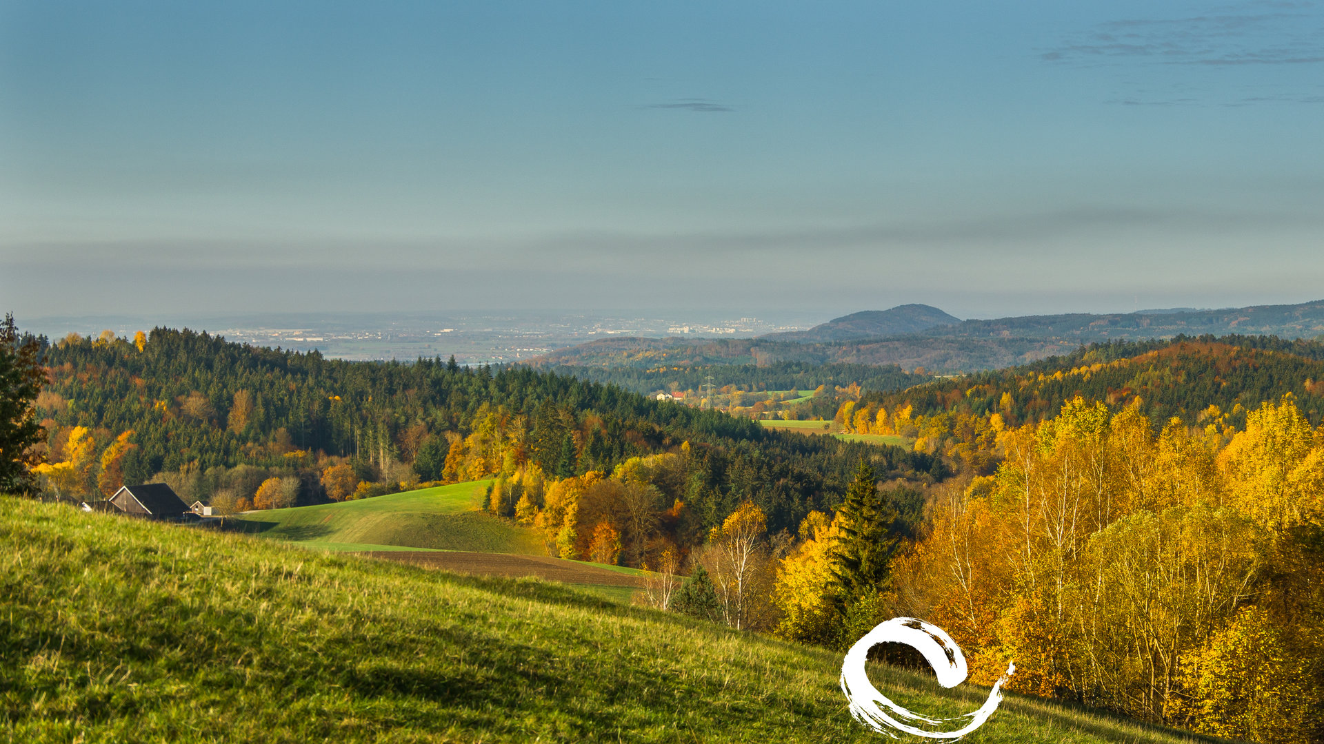 Zwischen Wald und Strom