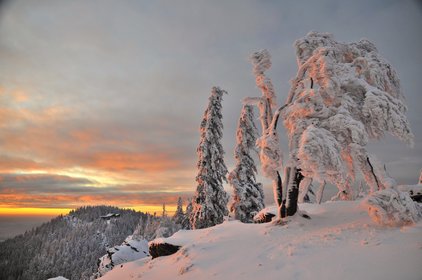 Blick über die verschneite Landschaft hin zur Kötztinger Hütte, am Horizont sieht man das Abendrot