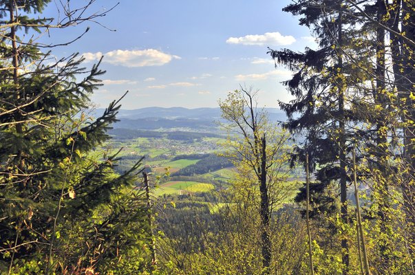 Ausblick vom Hohenbogen nach Grafenwiesen