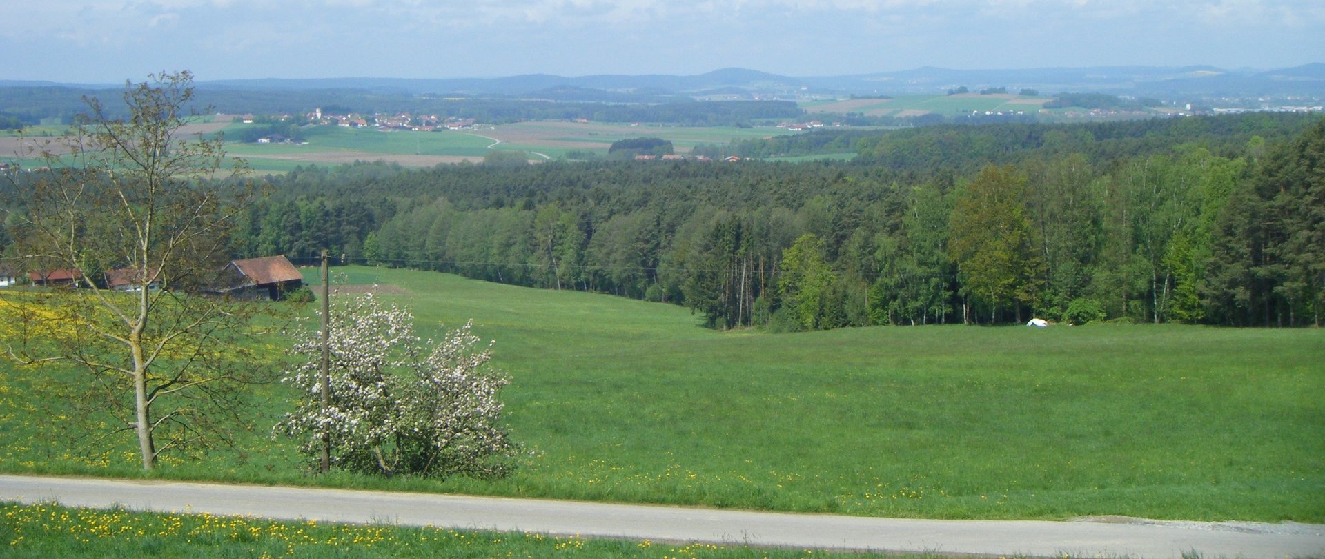 Fernblick auf die Bayerwaldberge bei Zandt