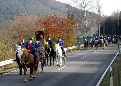 Geschmückte Pferde und Reiter ziehen zu Ehren des Hl. Martin durch das Gemeindegebiet