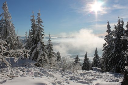 Blick durch den verschneiten Wald ins Tal, bei Sonnenschein, im Tal steigt Nebel auf