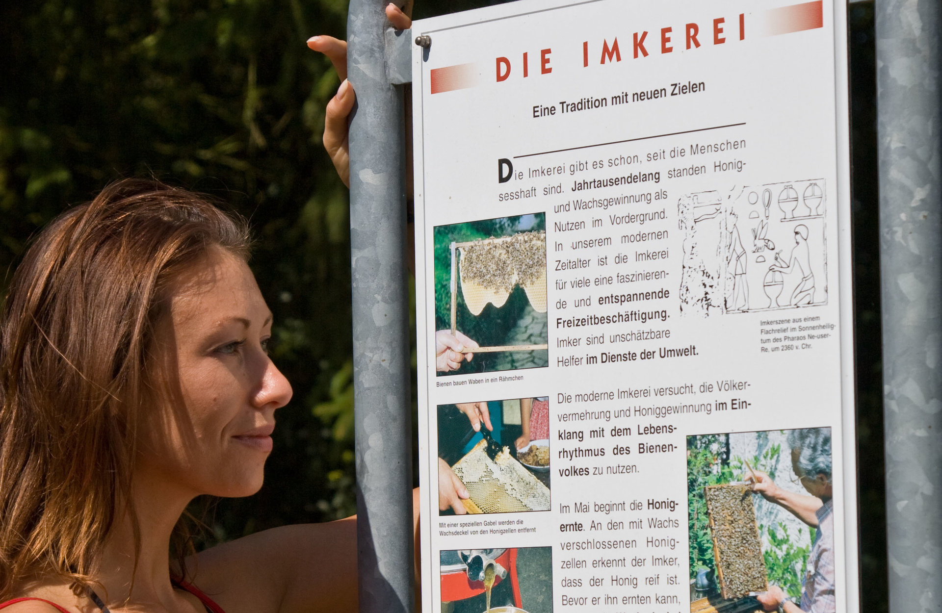 Bienenlehrpfad