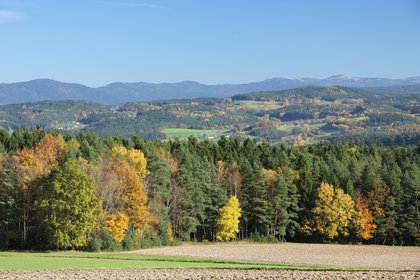 Blick über Felder und über herbstlichen Wald hin zur Bergkette