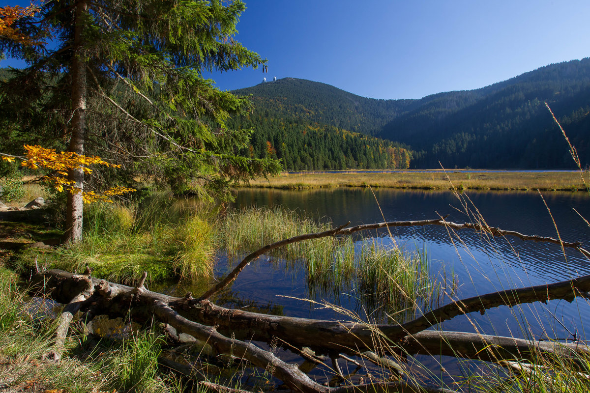 Blick auf den Kleinen Arbersee mit Großen Arber im Hintergrund