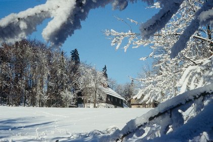 Blick über eine Winterlandschaft bergaufwärts zur Diensthütte am Hohenbogen