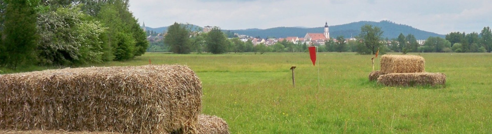 Bauerngolf