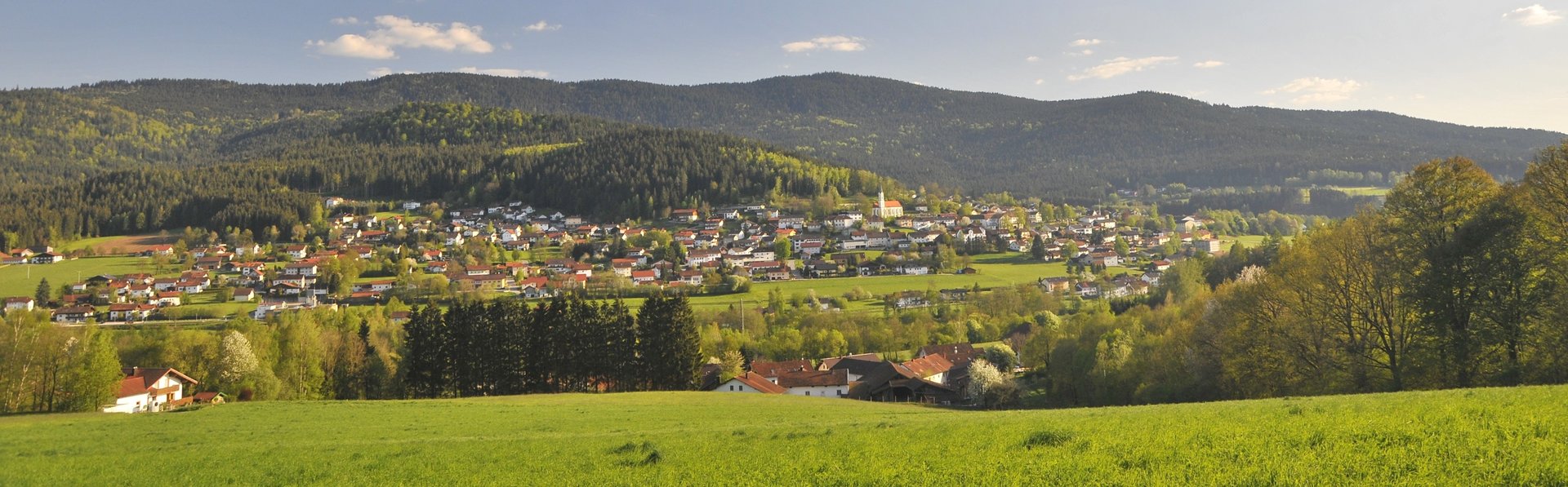 Blick auf Hohenwarth unter einem Baum stehend an einem schönen Sommertag