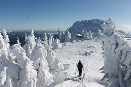 Schneeschuwanderer am Arber