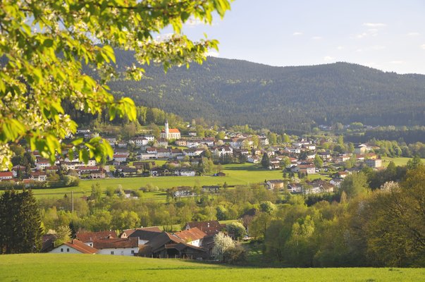 Blick auf Hohenwarth und die dahinter liegenden Berge an einem schönen Sommertag