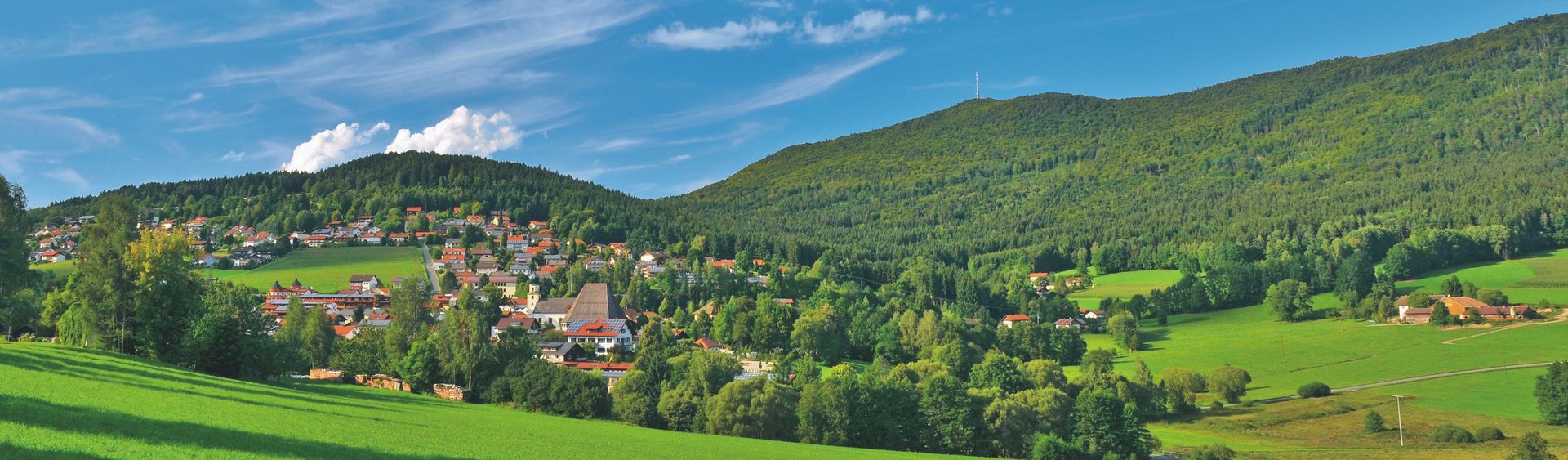Rimbach Blick auf die sattgrüne, hügelige Landschaft von Rimbach