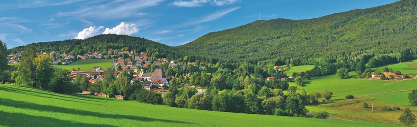 Blick auf die sattgrüne, hügelige Landschaft von Rimbach