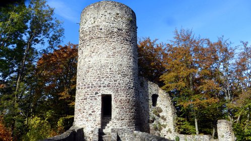 Blick auf die Burgruine Lichtenegg im Hintergrund sieht man den Wald im Herbst