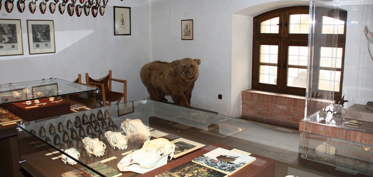 Museum Jagd und Wild in Falkenstein