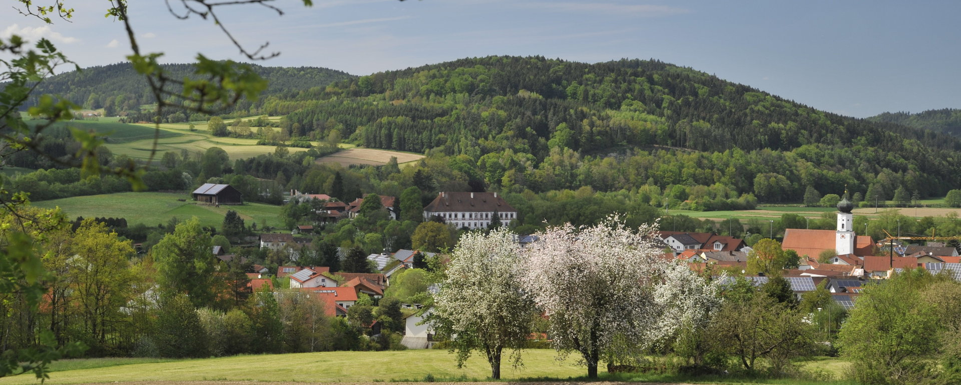 Miltach Miltach mit Blick auf Schloss im Regental