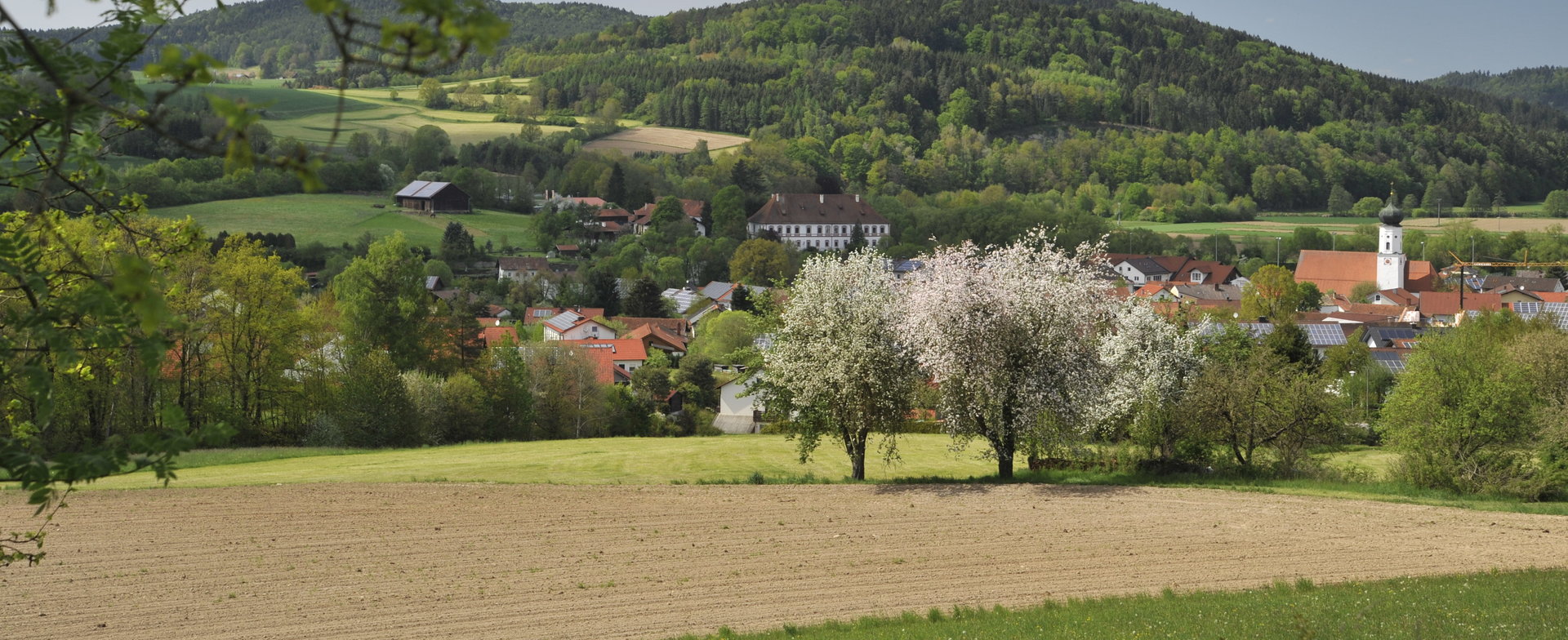 Miltach mit Blick auf Schloss im Regental