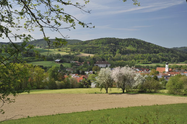 Miltach mit Blick auf Schloss im Regental