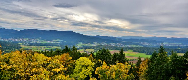 Ausblick vom Hohenbogen nach Süden