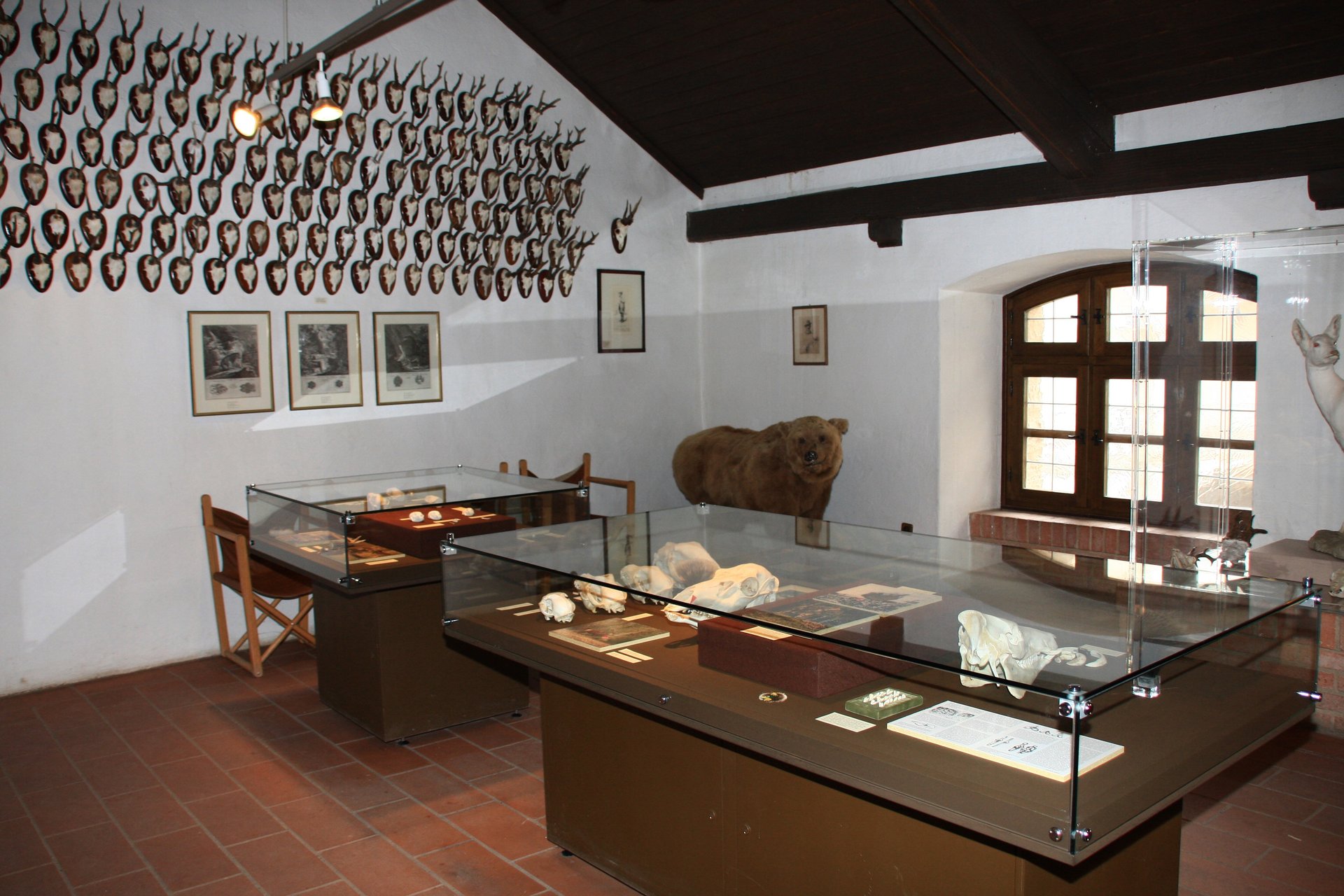 Jagdmuseum Falkenstein