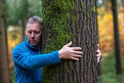 Baumumarmung beim Waldbaden