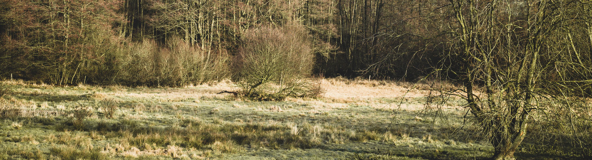 Ponnholzbachtal