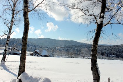 Blick auf eine Winterlandschaft