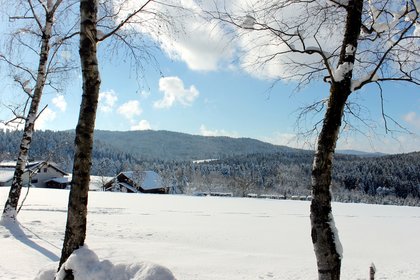 Blick auf eine Winterlandschaft