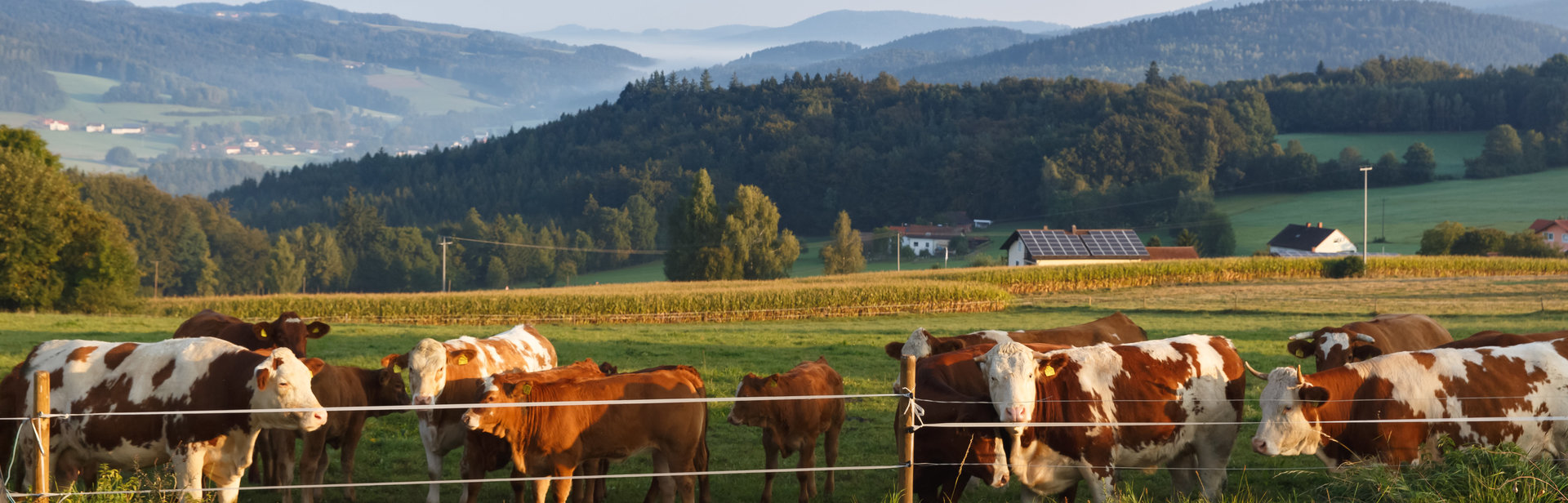 Gemeinde Traitsching