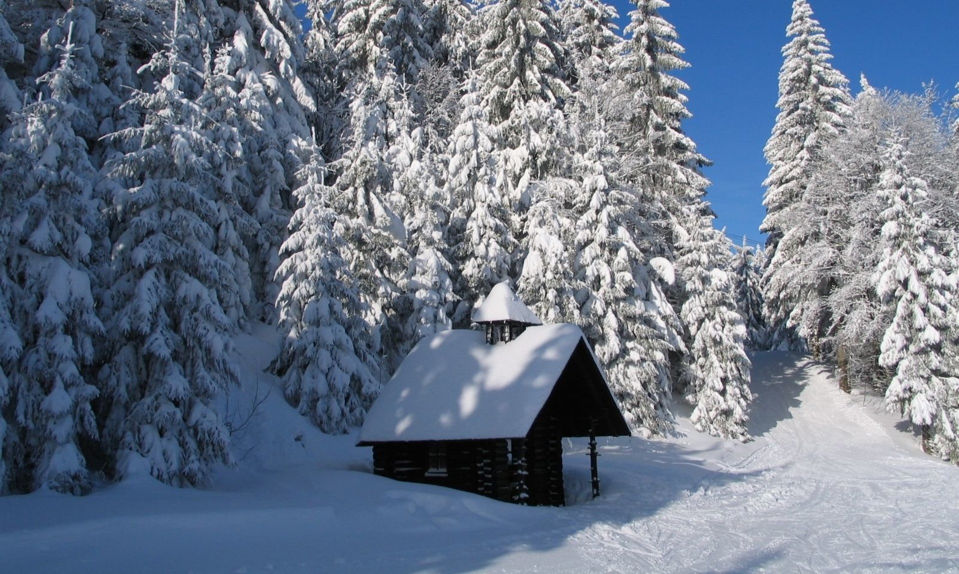 Winterwandern