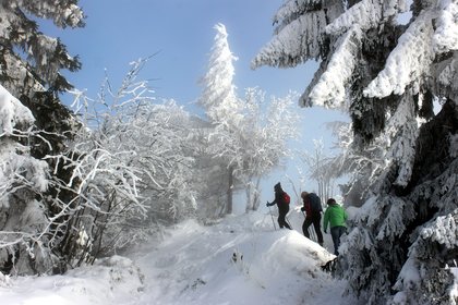 Drei Wanderer in einer Winterlandschaft