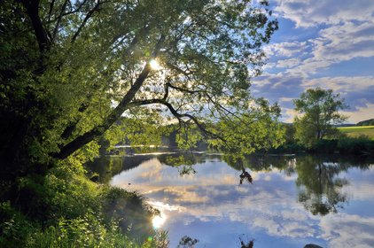 Blick auf den Fluss, die Sonne scheint durch einen Baum hindurch