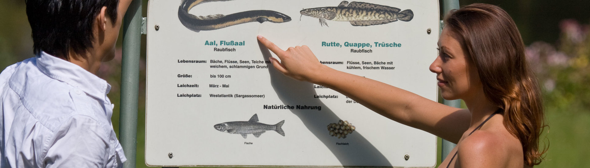 Fischlehrpfad Roding