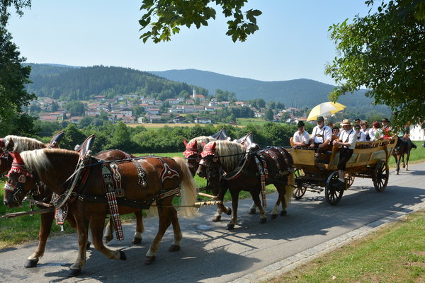 Prächtig geschmücktes Pferdegespann zur Leonhardifahrt in Hohenwarth