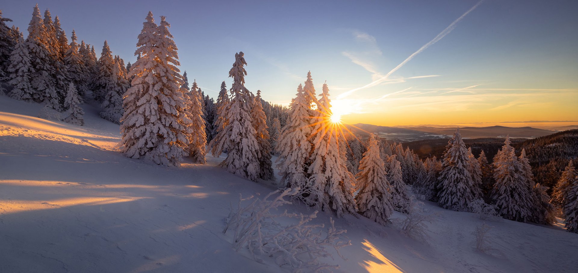 Wintersonne