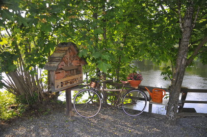 Am Wegesrand steht ein altes Fahrrad, welches mit Blumen dekoriert ist, daneben steht ein Bienenhaus, im Hintergrund sieht man durch Bäume hindurch den Fluss
