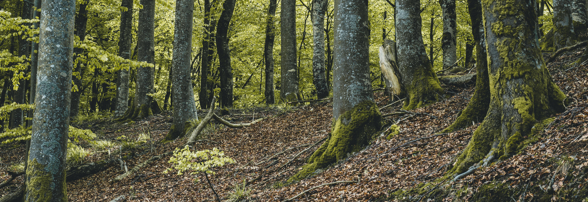 Naturschutzgebiete