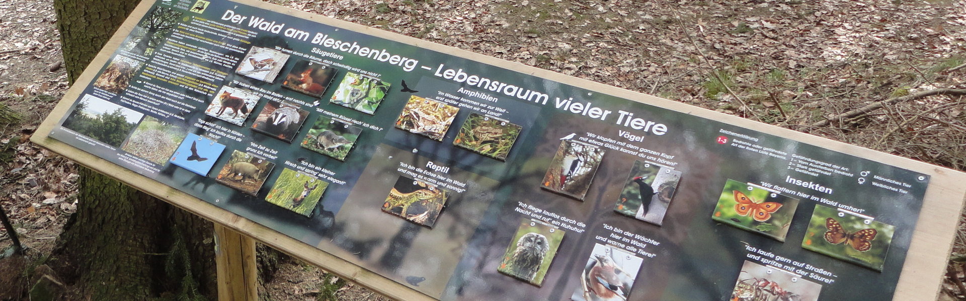 Lehrpfade