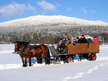Pferdekutsche im Winter mit Gästen, im Hintergrund sieht man den verschneiten Hohenbogen