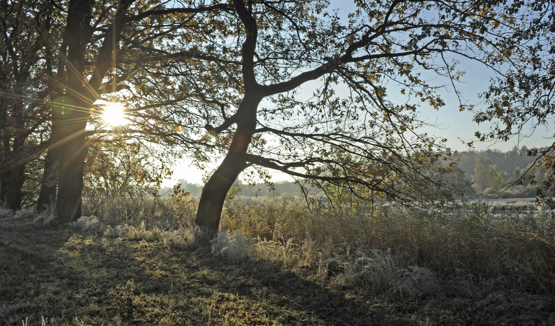 Natur pur