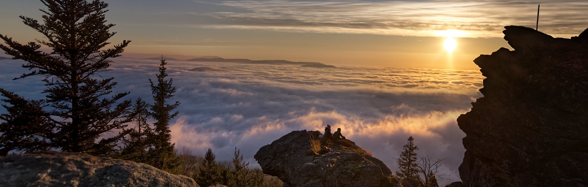 Untergehende Abendsonnne am Kaitersberg mit Blick aufs Nebelmeer  