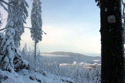 Blick über die verschneite Winterlandschaft vom Kaitersberg zum Hohenbogen