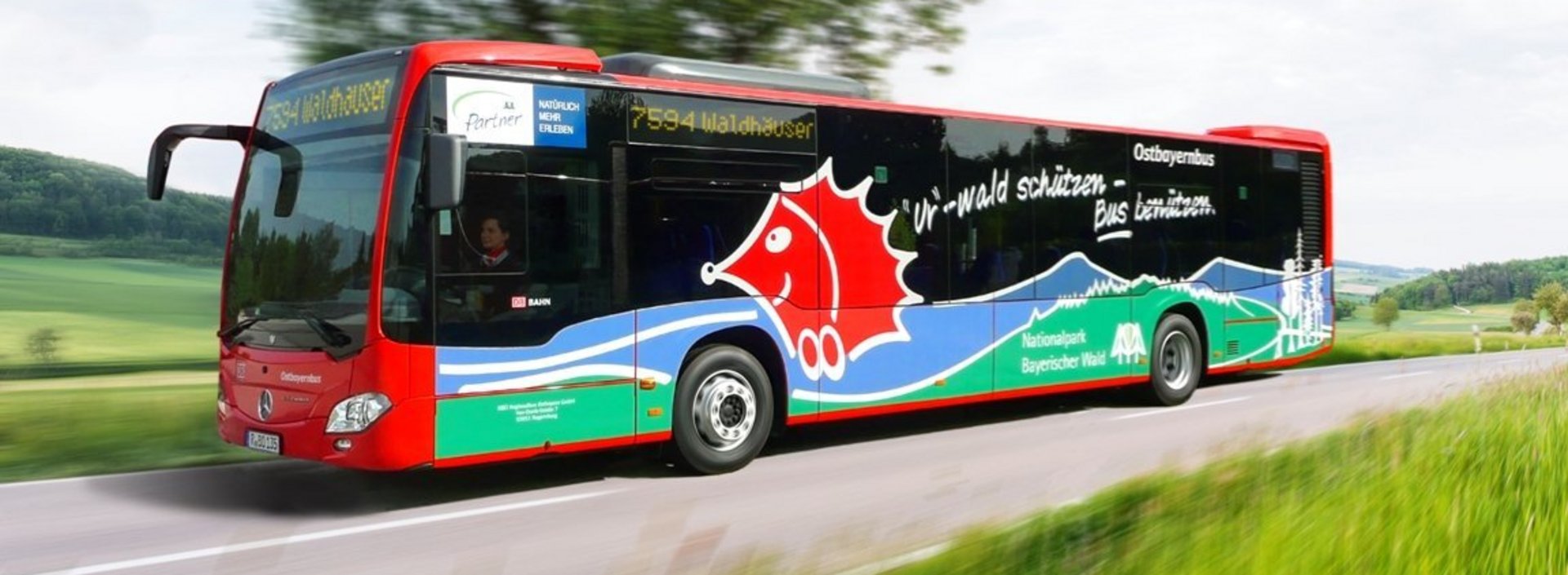 Wanderbus