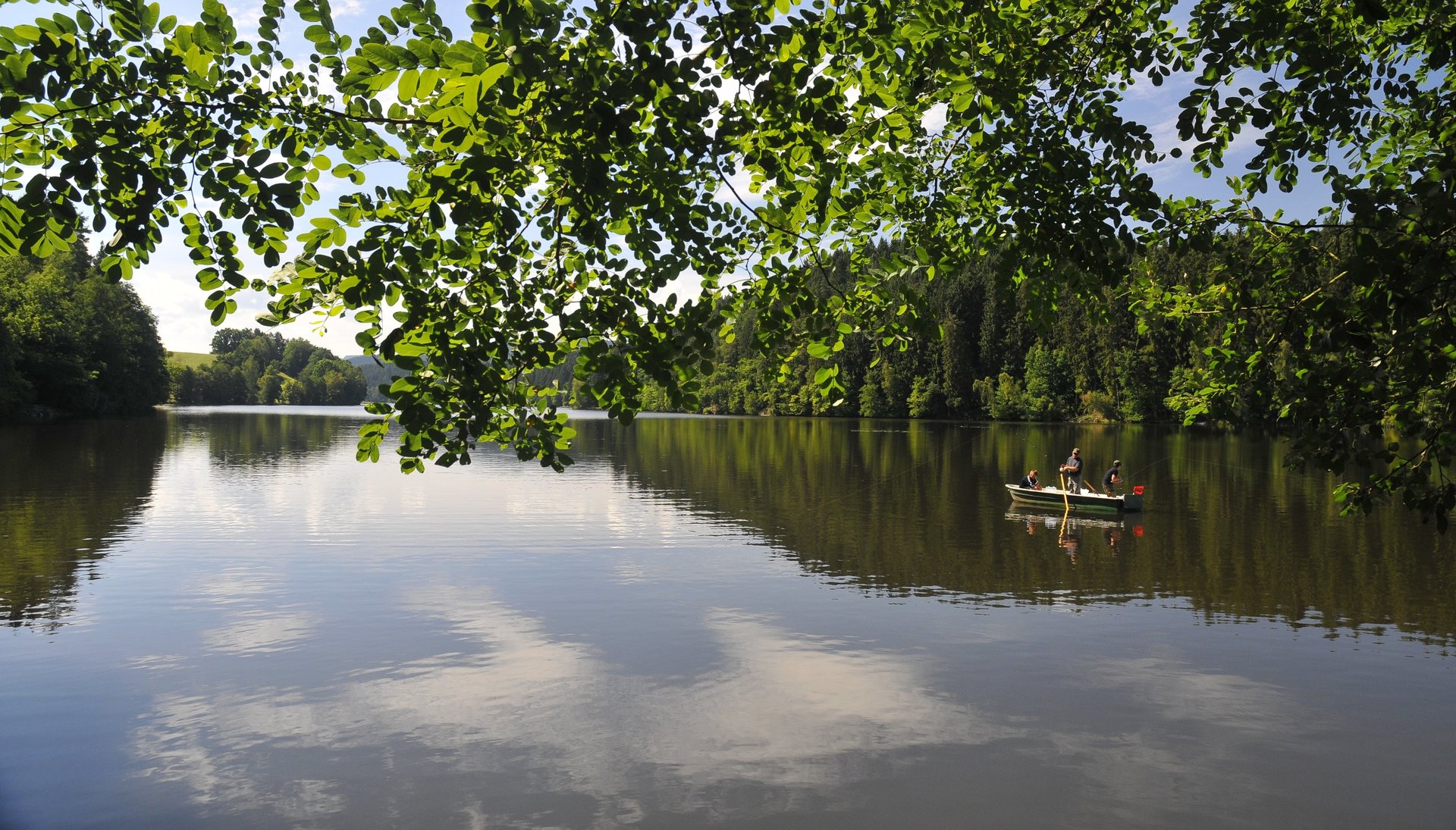 Boot mit Angler auf einem See mit Bäumen im Hintergrund
