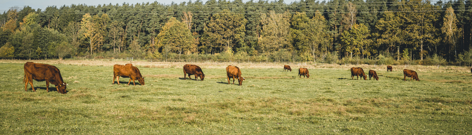 Landschaftspflege