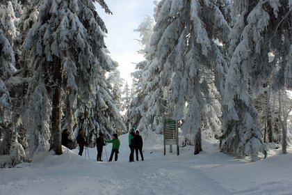 Blick in den verschneiten Wald, in dem Winterwanderer stehen