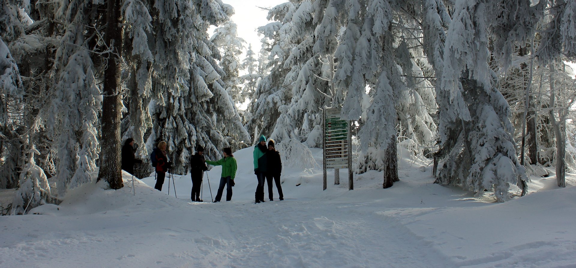 Winter Blick in den verschneiten Wald, in dem Winterwanderer stehen
